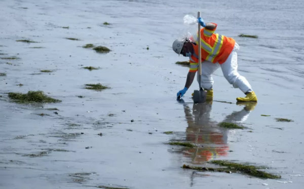聖地亞哥拉霍亞海灘出現石油塊，遇到勿接觸