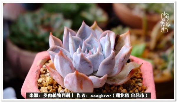 時光匆匆，一閃而逝，這世間萬物的美，都值得被記錄