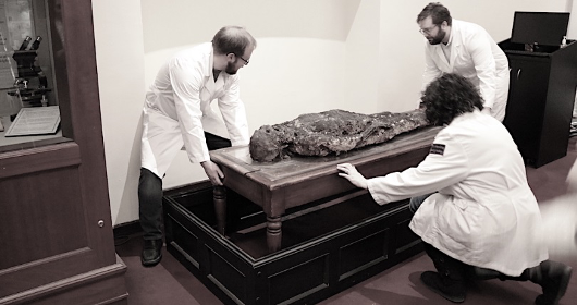 愛因斯坦的大腦、人類最大便便……看了這座博物館，我大開眼界