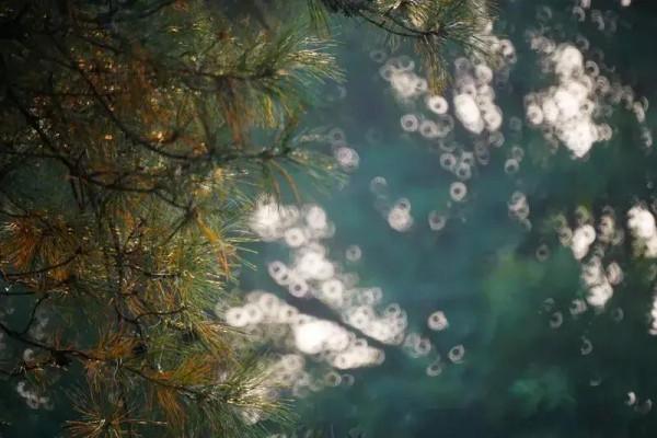 從霸陵到杜陵,看景覓詩去 從霸陵到杜陵,看景覓詩去