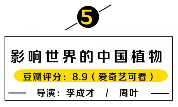 就算週末只放一天假，我也要刷完這5部片