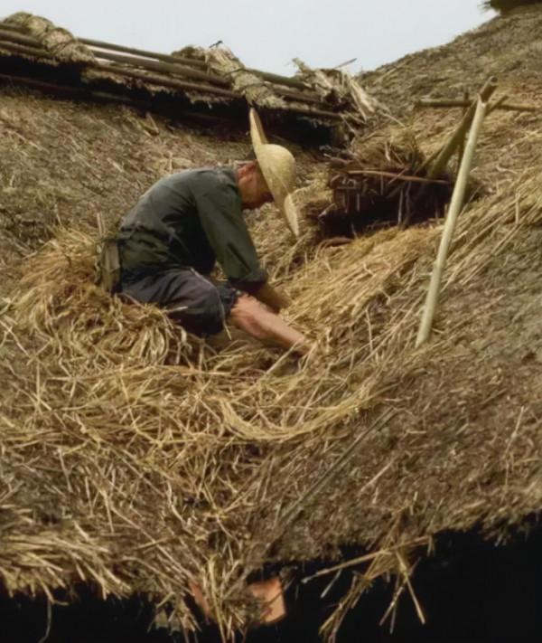 80年代反映中國社會生活的老照片