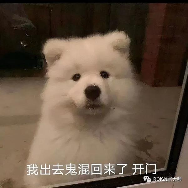 萬國覺醒丨最強執政官——混分技巧