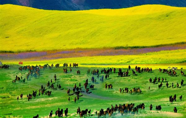 新疆風景最美的10條公路,你心動哪一條? 新疆風景最美的10條公路,你心動哪一條?