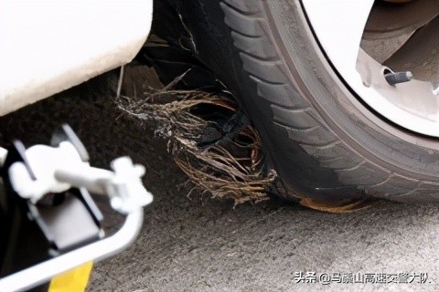 遠途自駕車輛該檢查什麼 遠途自駕車輛該檢查什麼