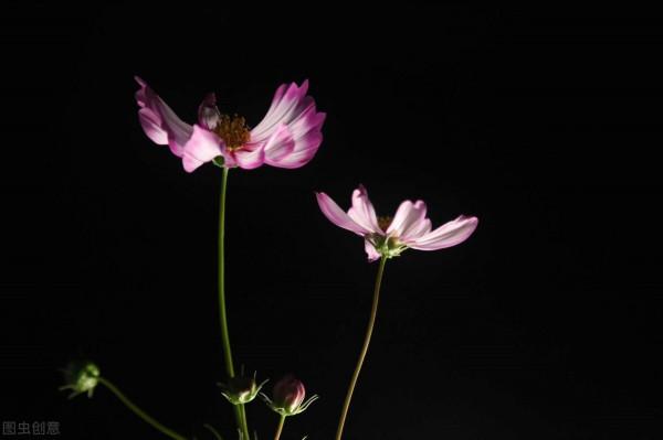 男人,自己的老婆不在身邊時,你得知道自律,免得陷入別人的圈套 男人,自己的老婆不在身邊時,你得知道自律,免得陷入別人的圈套