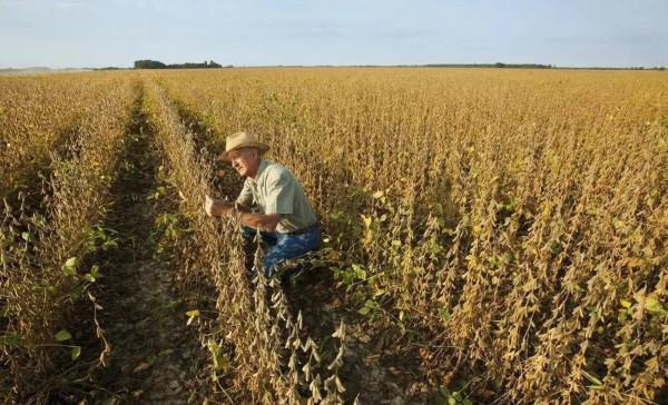 不止是澳洲頂不住！中國取消美國“大單”，美出口商急了：很難受