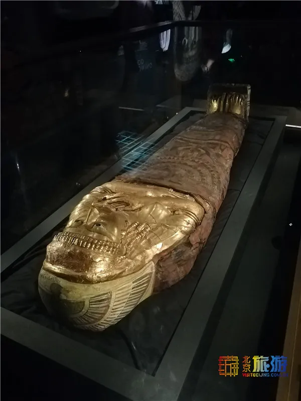 火爆全網！不出國就能看黃金木乃伊，跨越2000年的古埃及之旅~【送票】