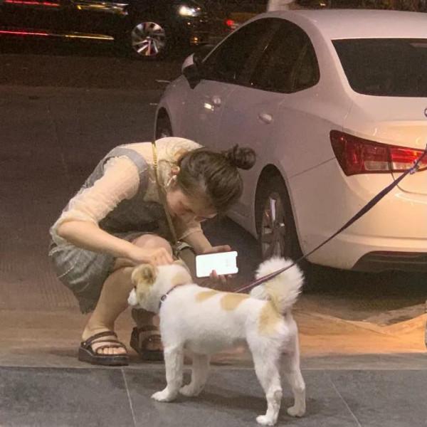 上學途中偶遇流浪狗，小男孩忽然上前給了一個“愛的抱抱”，……