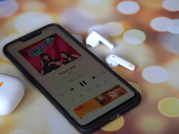 個性訂製Liavs怪奇鵝一款有個性的耳機