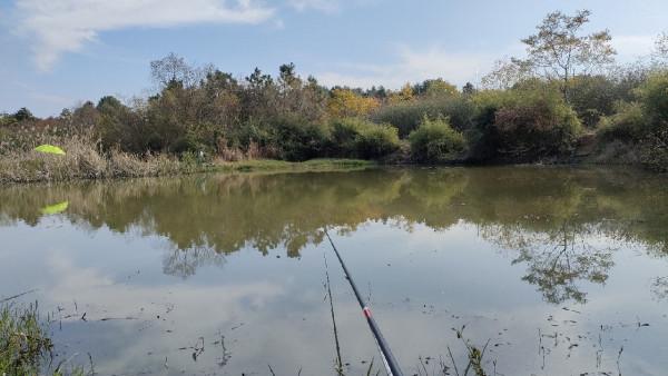 向左還是向右該何去何從，男人的野性在呼喚