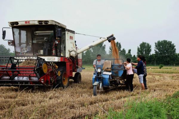農村也要查三輪車？專家建議買汽車，農民：我還想買飛機呢