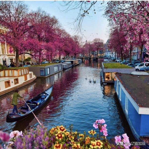 從天才少年技師到汽車大王——亨利·福特的汽車夢 從天才少年技師到汽車大王——亨利·福特的汽車夢