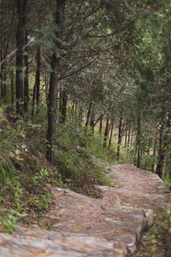 北京徒步登山:人少且免費的爬山步道,房山石花洞鳥語林風景區 北京徒步登山:人少且免費的爬山步道,房山石花洞鳥語林風景區