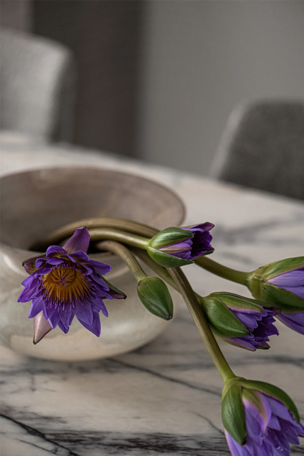 理性與優雅兼具的安逸之居，把氣質拿捏到位 | 尚舍全案設計