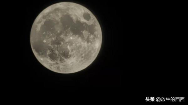 6999元原價購入“廠妹機”，使用近3個月，我後悔了嗎？