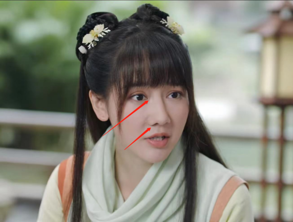 內娛“假鼻子”大PK，誰的假到逆天，誰的越整越殘？