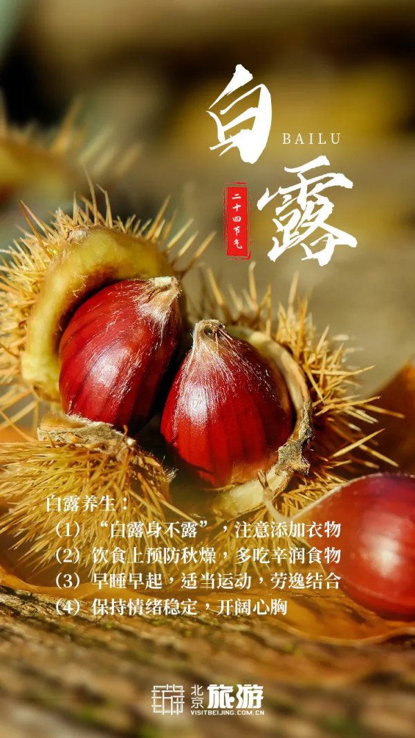 免費!這個浪漫如普羅旺斯的花海,就在咱北京! 免費!這個浪漫如普羅旺斯的花海,就在咱北京!