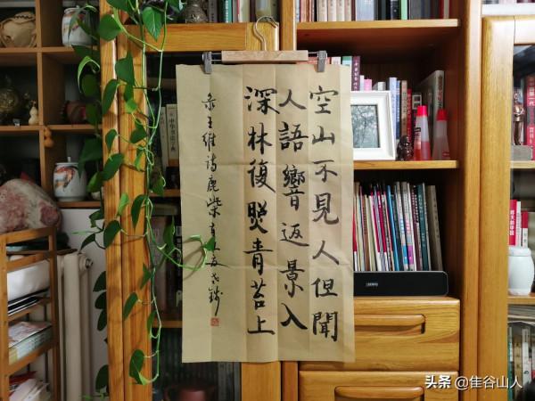 鹿柴｜不怕您笑話，王維的這首詩名，我讀了半輩子“lu chai”