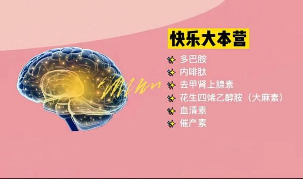 大量的閒暇＝幸福？