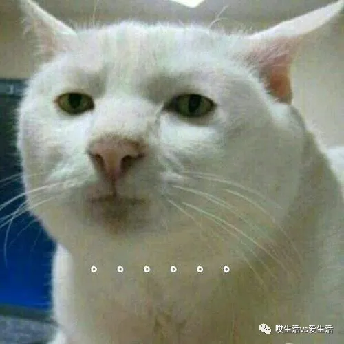 有這錢拿去看下腦子不好嗎？