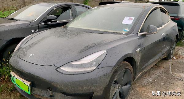 中國新能源車“新格局”：銷量冠軍再次易主，特斯拉、五菱被反超