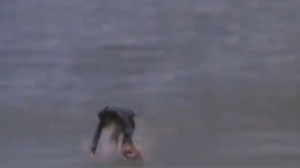 動作演員有多敢玩兒命？元彪3樓上演空中側翻，元華任由老鼠攀爬