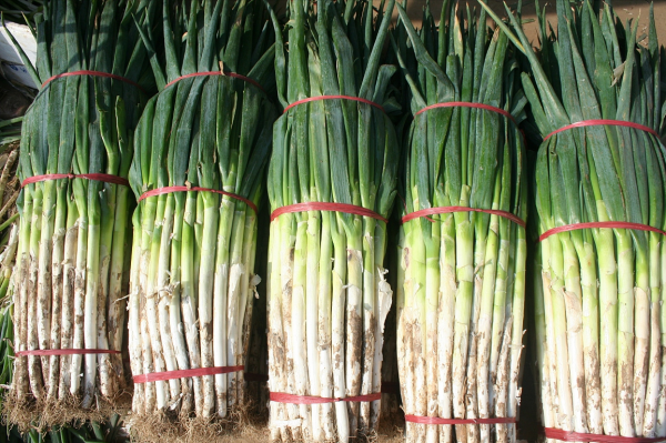 開學返校季，同學們忙著曬特產，山東室友最好客，河南室友最實誠