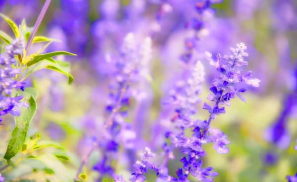 人老了，別太高估枕邊人，你真正的依靠是這些