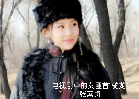 東北土匪的組織機構