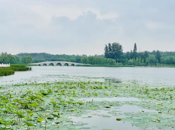 北京最大公園南海子，去了還想去的地方