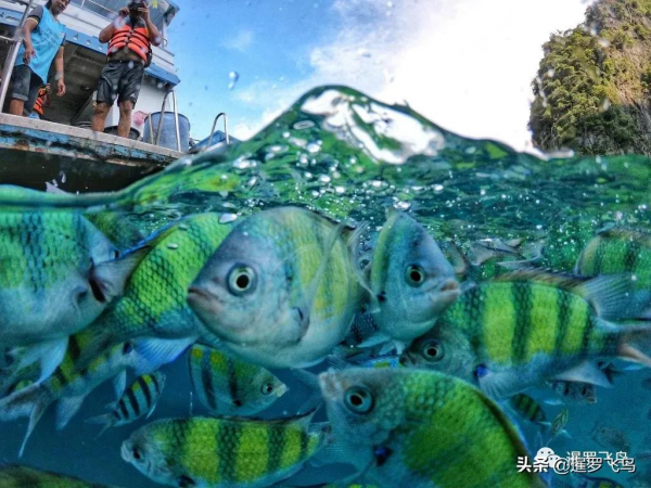 隨泰國開國步伐，閉關3年的甲米瑪雅灣，將在1月份重新開放