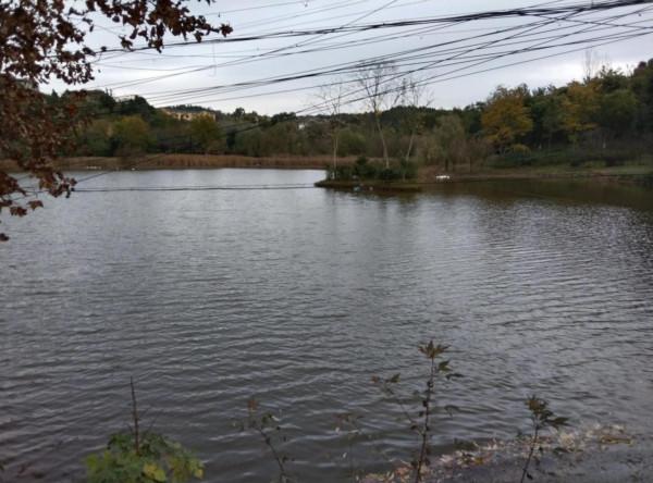 先天性心臟病，十多年前做了開胸手術，需要買社保嗎？