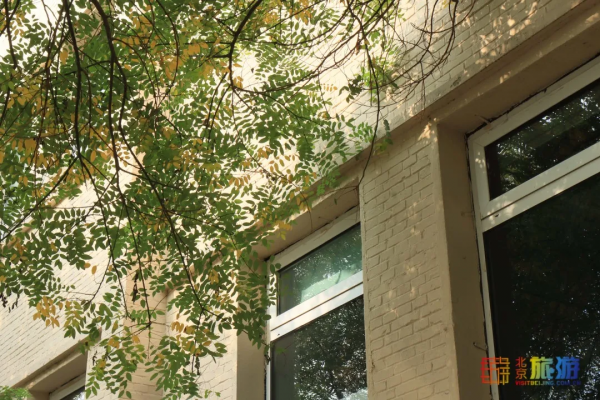 免費！二環裡超小眾打卡地，濃縮版“798”！太出片了！