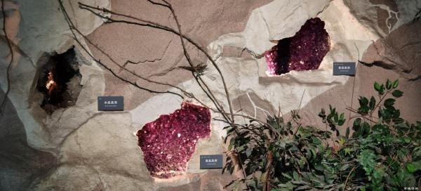 地質博物館裡千奇百怪的礦石 地質博物館裡千奇百怪的礦石