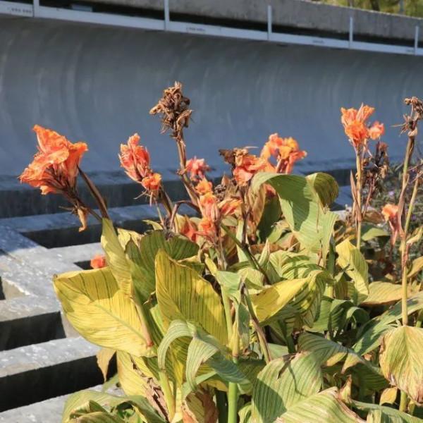 酒莊紅、萱草黃&hellip;&hellip;原來今年的秋冬流行色都在寶山這些公園裡&srarr;