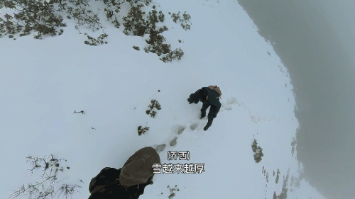 王力宏都塌房了，娛樂圈真正的清流在這裡