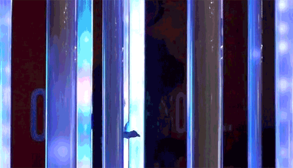 案例賞析：互動的力量——和遊客這麼玩才有趣