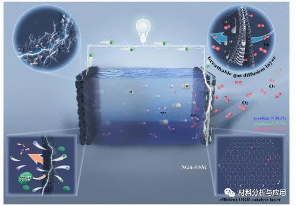 大連理工:N摻雜石墨烯氣凝膠作為微生物燃料電池的多功能空氣陰極