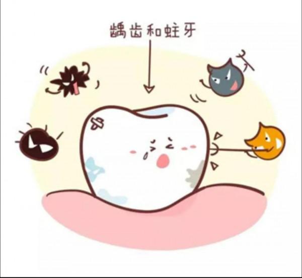 寶寶每天都刷牙就不會蛀牙了？