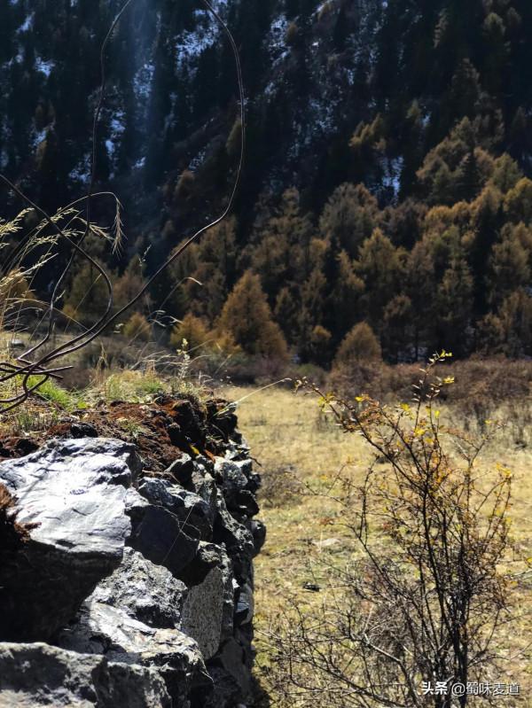四川.雅克夏雪山 四川.雅克夏雪山