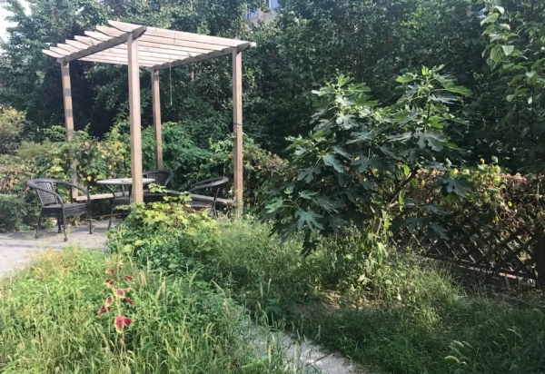 爆改2次,花費4萬,終將破舊小院改造成理想花園 爆改2次,花費4萬,終將破舊小院改造成理想花園