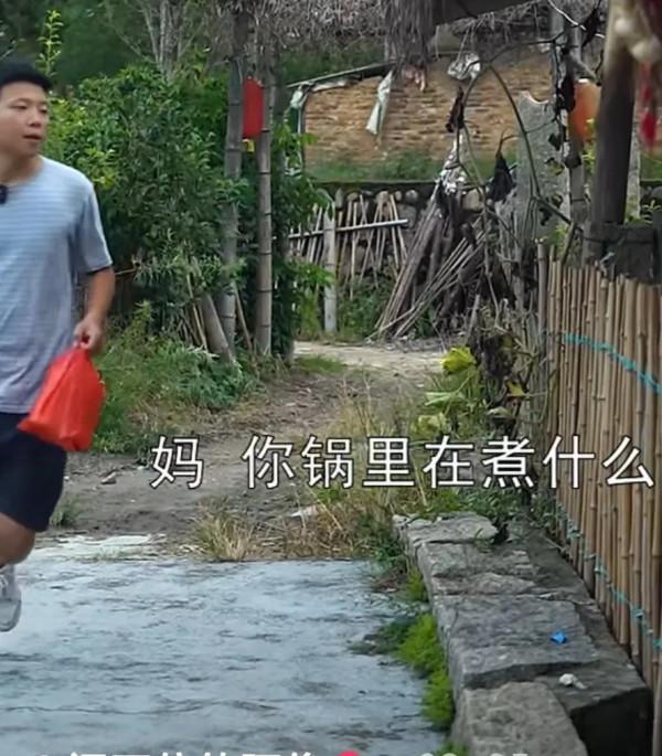 阿俊的二哈小年年跑丟了,大家幫忙找找 阿俊的二哈小年年跑丟了,大家幫忙找找