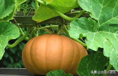 人到中老年，常吃這6種食物鈣鋅鐵豐富，腰好腿好精神好，真舒坦