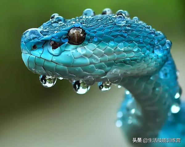 35張圖片帶我們領略大自然的狂野和美麗 35張圖片帶我們領略大自然的狂野和美麗