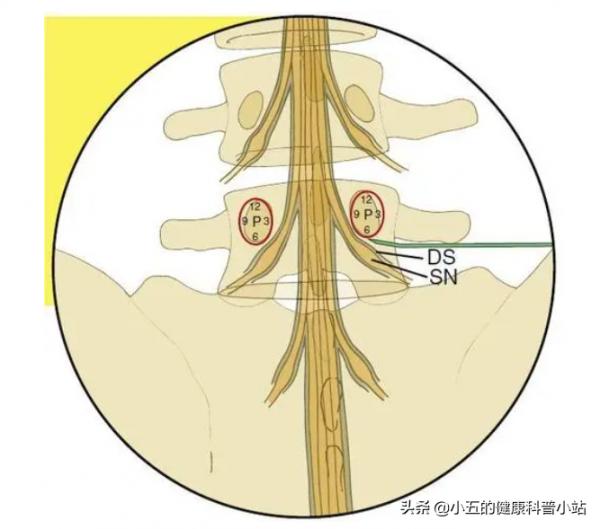 甲鈷胺與維生素B12相同嗎？可以長期服用嗎？服用時應注意5個方面