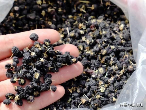 新疆遊記 | 塔什庫爾幹:空曠的縣城、珍貴的特產,和有關鷹的風景 新疆遊記 | 塔什庫爾幹:空曠的縣城、珍貴的特產,和有關鷹的風景