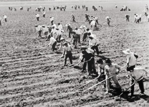 知青真實回憶:抓大鰉魚越界被抓走 知青真實回憶:抓大鰉魚越界被抓走