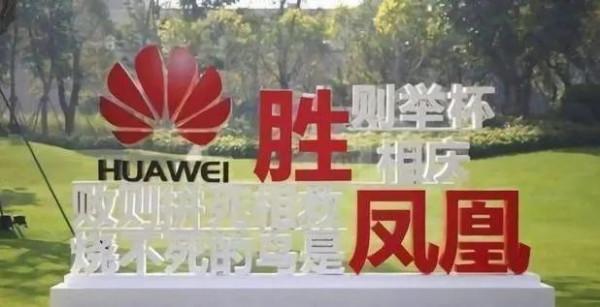 為什麼美國不擇手段,卻打不垮華為? 為什麼美國不擇手段,卻打不垮華為?