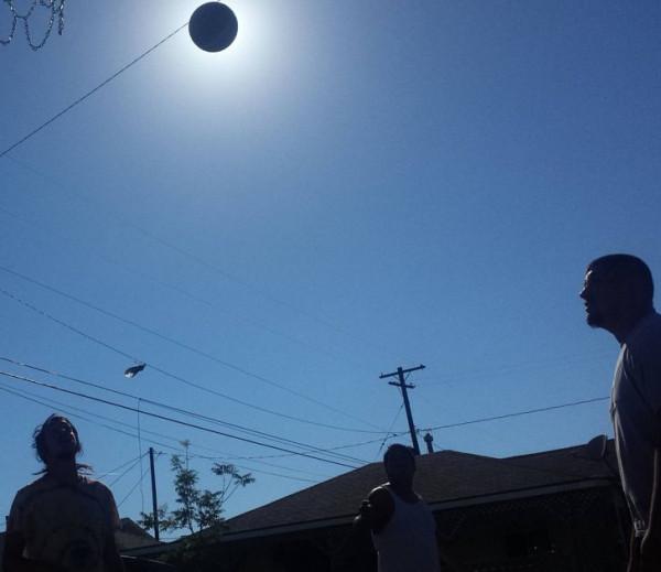 31張抓拍圖片，鳥兒邊飛邊排便，天鵝在海面表演衝浪